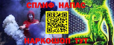 сатива Кингисепп