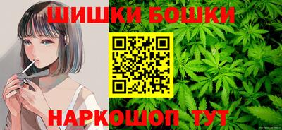 сатива Кингисепп